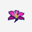 video game art asset Hong Kong state flower